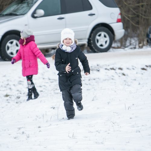 Šimtmečio Užgavėnės Rumšiškėse  © Vilmanto Raupelio nuotr.