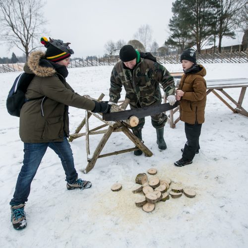 Šimtmečio Užgavėnės Rumšiškėse  © Vilmanto Raupelio nuotr.