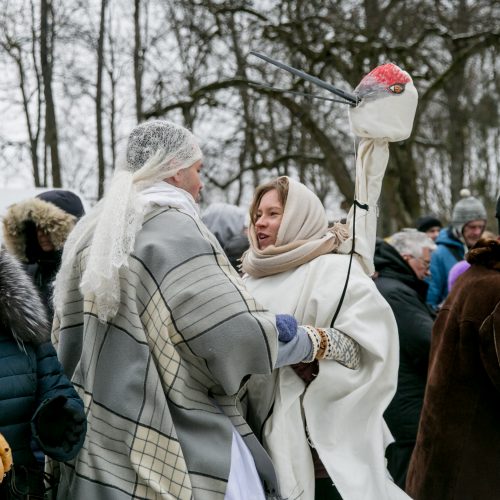 Užgavėnėse Botanikos sode - 100 blynų Lietuvos šimtmečio proga  © Vilmanto Raupelio nuotr.