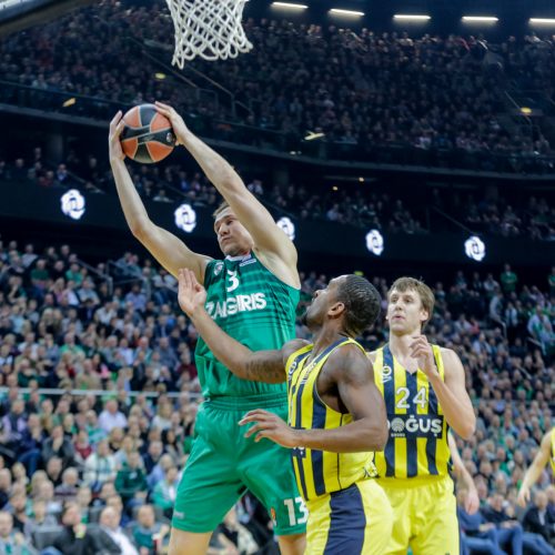 Kauno „Žalgiris“ - Stambulo „Fenerbahce“  © Vilmanto Raupelio nuotr.