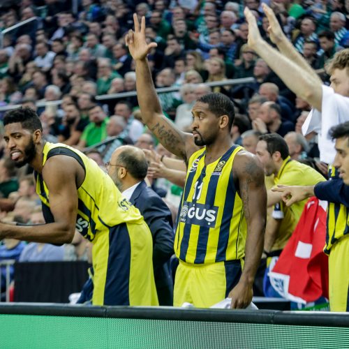 Kauno „Žalgiris“ - Stambulo „Fenerbahce“  © Vilmanto Raupelio nuotr.