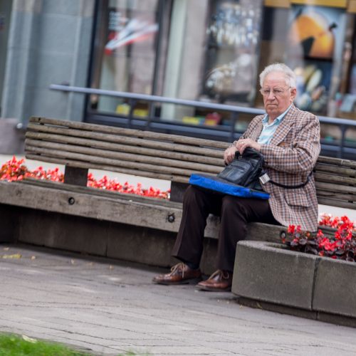 Žvilgsnis į Laisvės alėją  © Vilmanto Raupelio ir Akvilės Snarskienės nuotr.