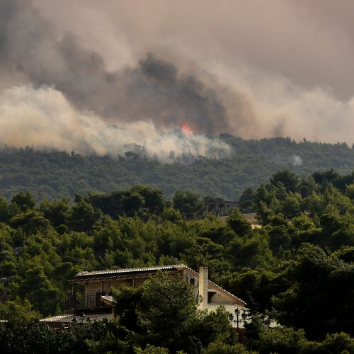 Graikijoje siaučia miškų gaisrai  © Scanpix nuotr.