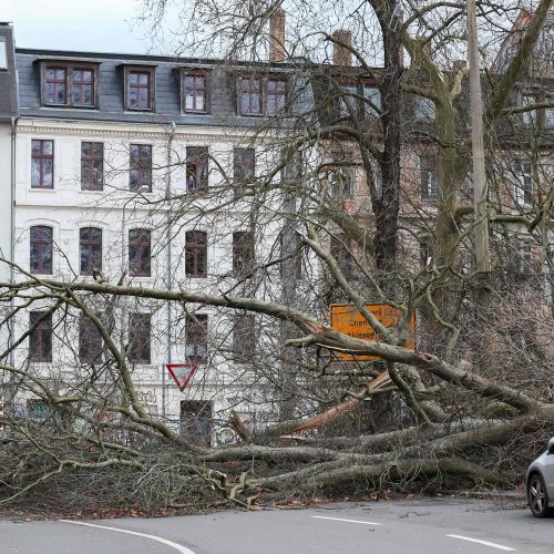 Europą nusiaubusi audra Friedrike  © Scanpix nuotr.