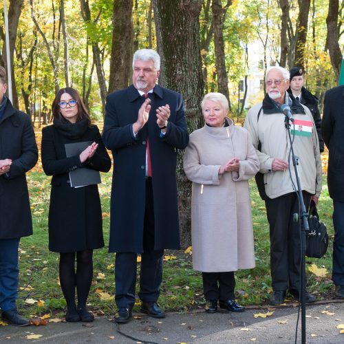 Vengrijos revoliucijos metinės  © Akvilės Snarskienės nuotr.