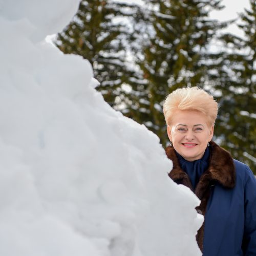 Prezidentė dalyvauja Pasaulio ekonomikos forume  © R. Dačkaus / Prezidentūros nuotr.