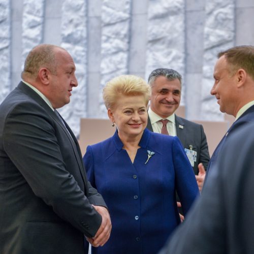 Prezidentė dalyvauja NATO vadovų susitikime  © R. Dačkaus / Prezidentūros nuotr.