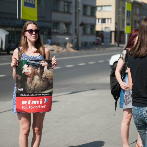 Vištų gynėjų protestas Kaune  © Akvilės Snarskienės nuotr.