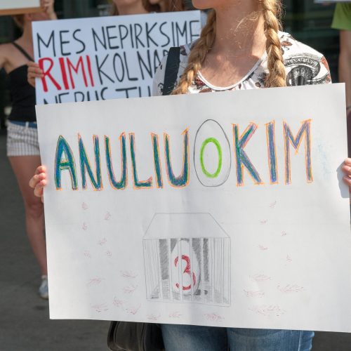 Vištų gynėjų protestas Kaune  © Akvilės Snarskienės nuotr.