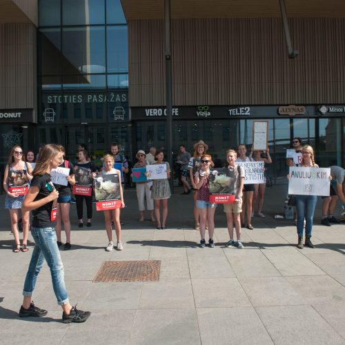 Vištų gynėjų protestas Kaune  © Akvilės Snarskienės nuotr.