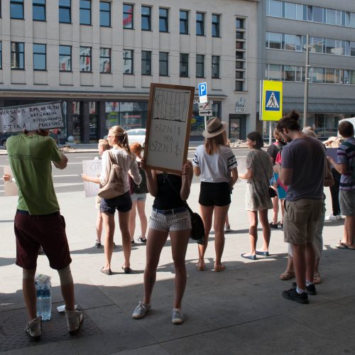 Vištų gynėjų protestas Kaune  © Akvilės Snarskienės nuotr.