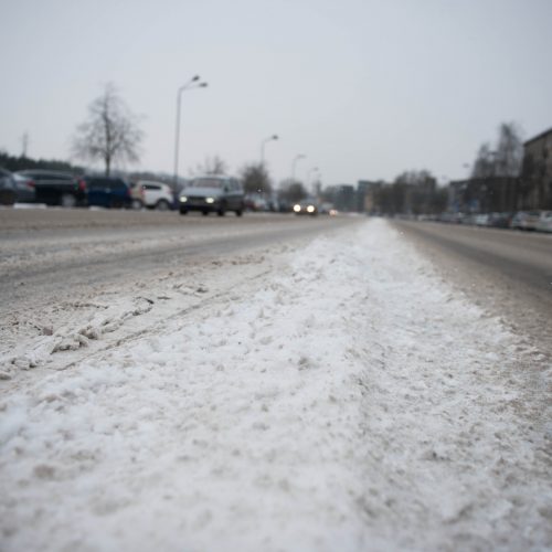 Gausus sniegas Kaune  © Akvilės Snarskienės nuotr.