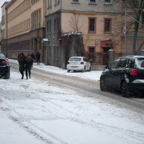 Gausus sniegas Kaune  © Akvilės Snarskienės nuotr.