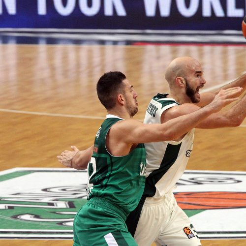 Eurolyga: „Žalgiris“ – „Panathinaikos“ 80:74  © Evaldo Šemioto nuotr.