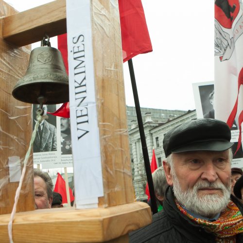 Protesto akcija dėl Vyčio paminklo  © BFL nuotr.