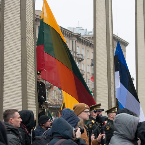 Vėliavų pakėlimo ceremonija Kovo 11-osios proga  © V. Skaraičio / BFL nuotr.