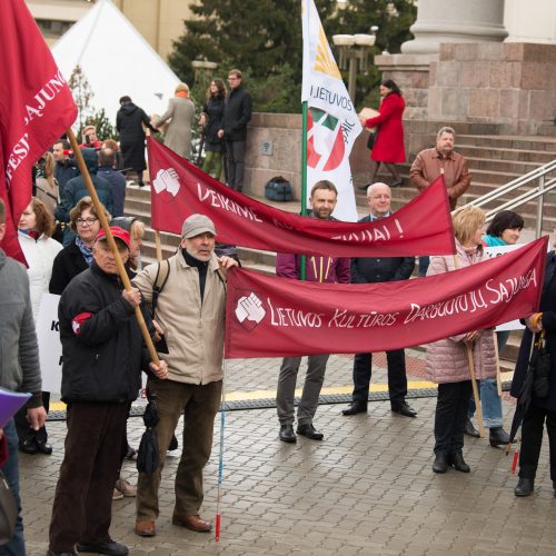 Medikų mitingas prie Seimo  © V. Skaraičio / BFL nuotr.