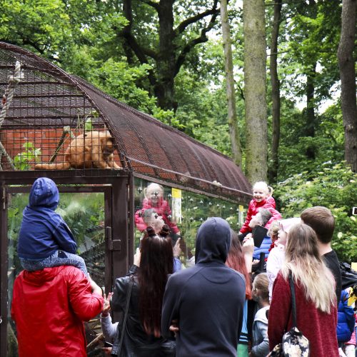 Lietuvos zoologijos sodo gimtadienis  © Organizatorių nuotr.