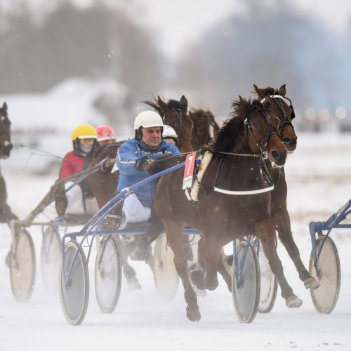 Žirgų lenktynės ,,Sartai 2018“  © D. Labučio (ELTA) ir V. Pilkausko nuotr.