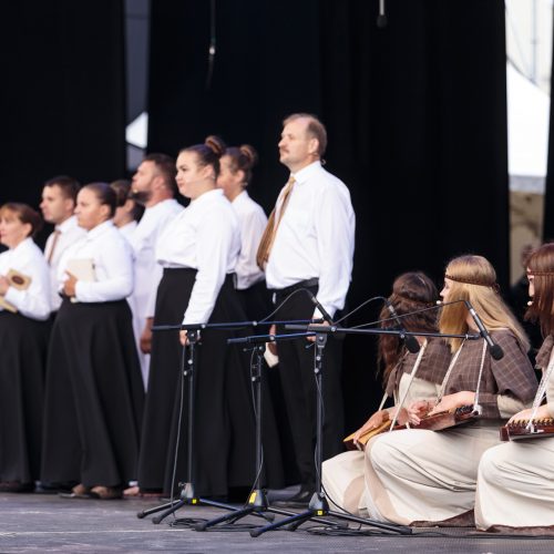 Teatrų dieną vainikavo vaikų pasirodymai   © Gedimino Bartuškos (ELTA) nuotr.