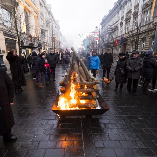 Sostinėje liepsnojo 100 laisvės laužų  © Gedimino Bartuškos (ELTA) nuotr.