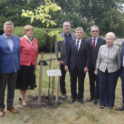 Seimo pirmininkai pasodino ąžuolą  © M. Morkevičiaus / ELTOS nuotr.