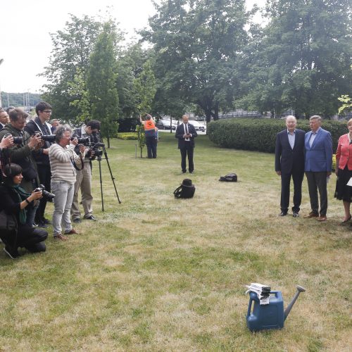 Seimo pirmininkai pasodino ąžuolą  © M. Morkevičiaus / ELTOS nuotr.