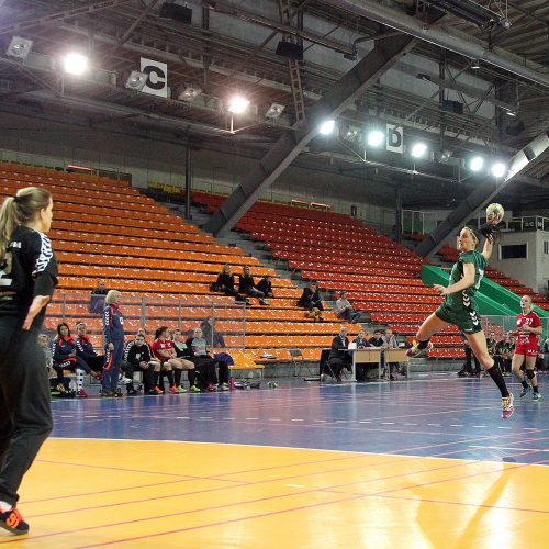 LMRL: „Žalgiris“ – „Garliava“ 32:33  © Evaldo Šemioto nuotr.