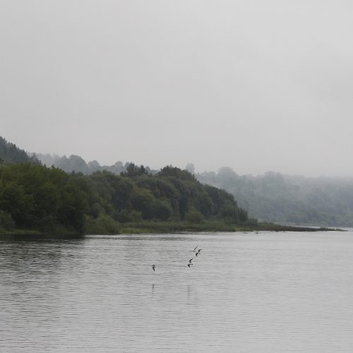 Kauno rajono šeimų išvyka į Zapyškį  © Evaldo Šemioto nuotr.