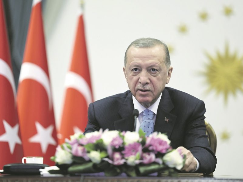 Virš R. T. Erdoğano – juodųjų gulbių antskrydis