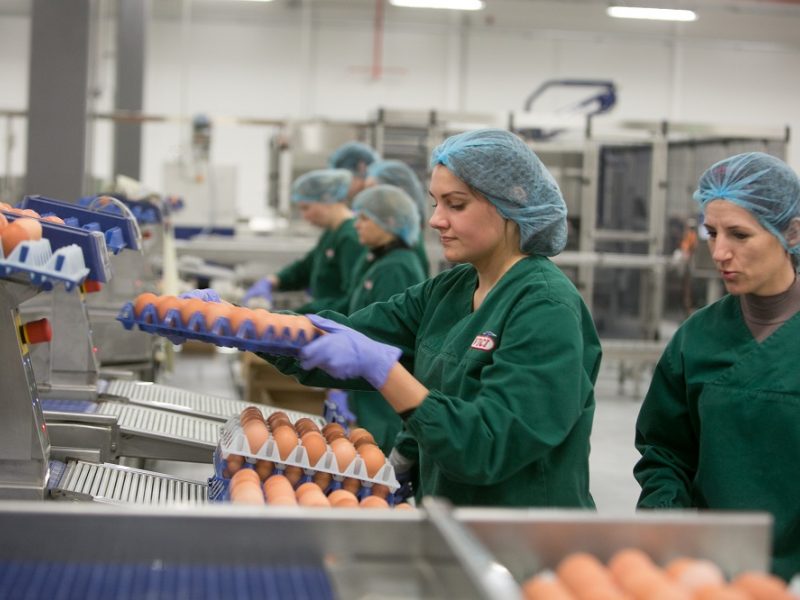 ŽŪM: Lietuva rudenį į Taivaną galės vežti kiaušinius, pieno ir žuvininkystės produktus