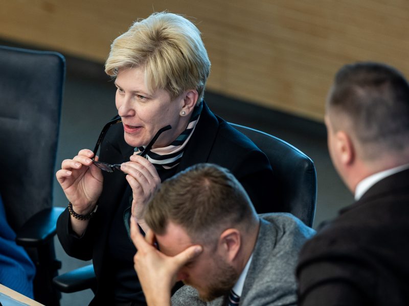 Premjerė kol kas nevertina A. Armonaitės mokesčių pasiūlymų
