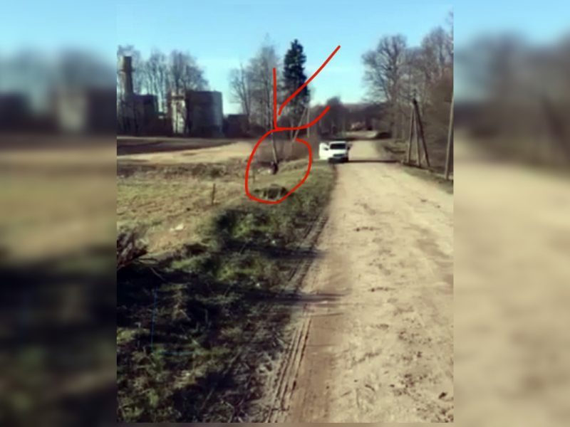 Detektyvas Klaipėdos rajone: dvokiantį skystį liejo į pakelę?