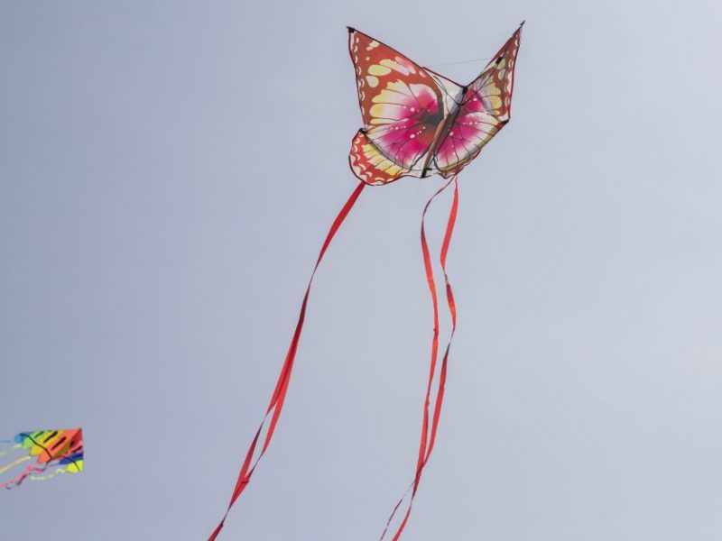 Klaipėdoje pirmą kartą vyks aitvarų festivalis <span style=color:red;>(programa)</span>