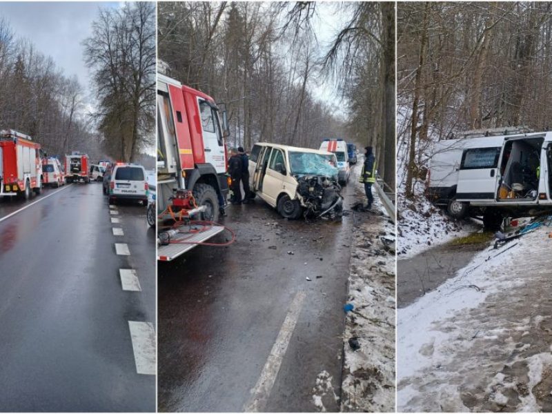 Sukrečianti kaktomuša pakaunėje: šiurpūs jos padariniai su slidžia kelio danga nesusiję?