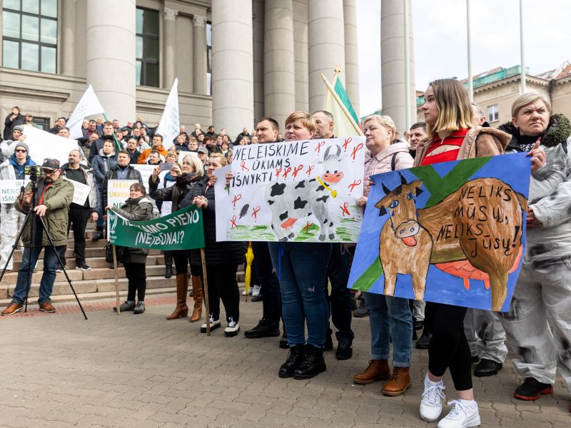 Lietuvos pieno gamintojų mitingas prie Seimo