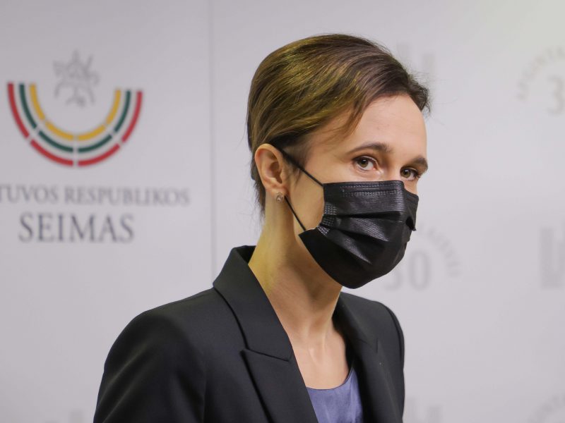 V. Čmilytė-Nielsen: prezidentas ir užsienio reikalų ministras nuolat bendrauja
