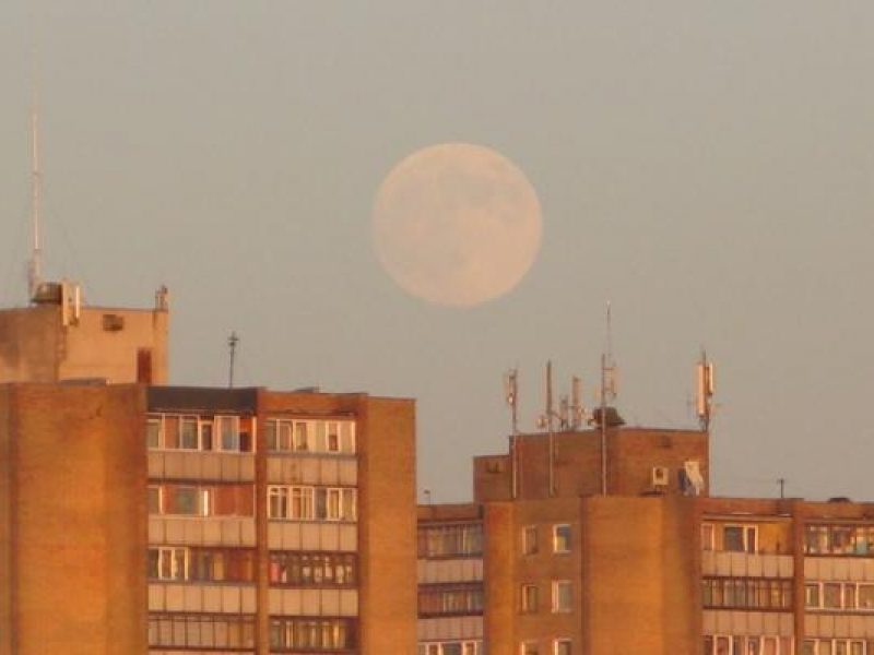 Erekcija: 10 faktorių, kurie neigiamai veikia vyrišką jėgą - DELFI Gyvenimas