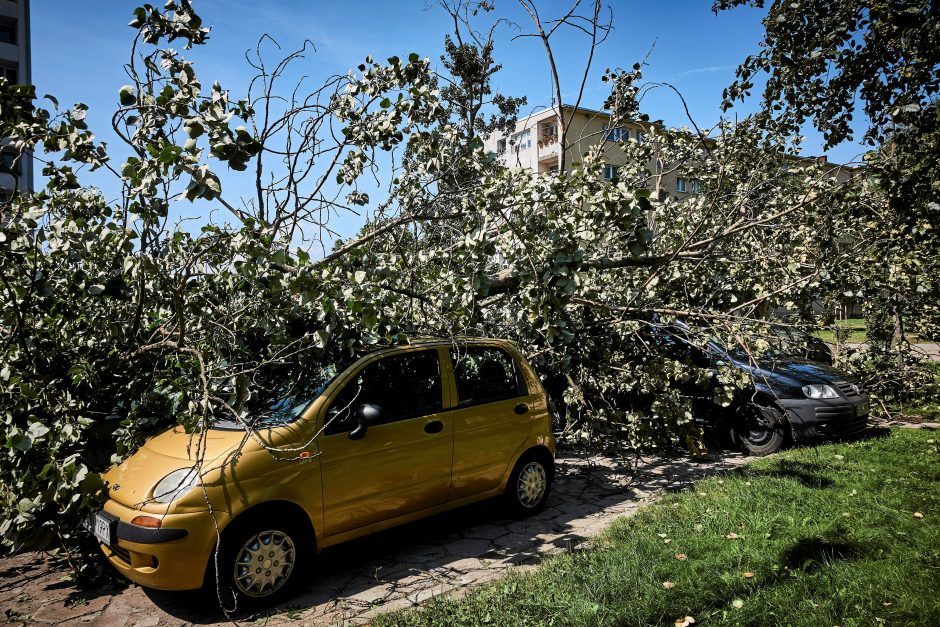 Lenkijoje siautėjant audroms žuvo keturi žmonės