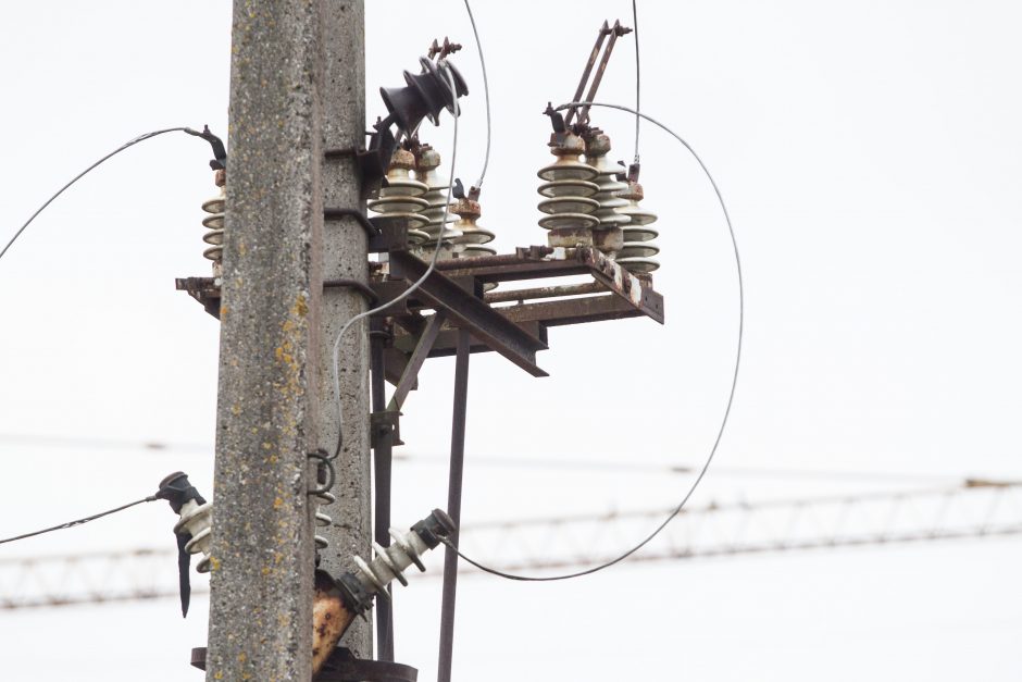 Elektros dar neturi keli šimtai vartotojų