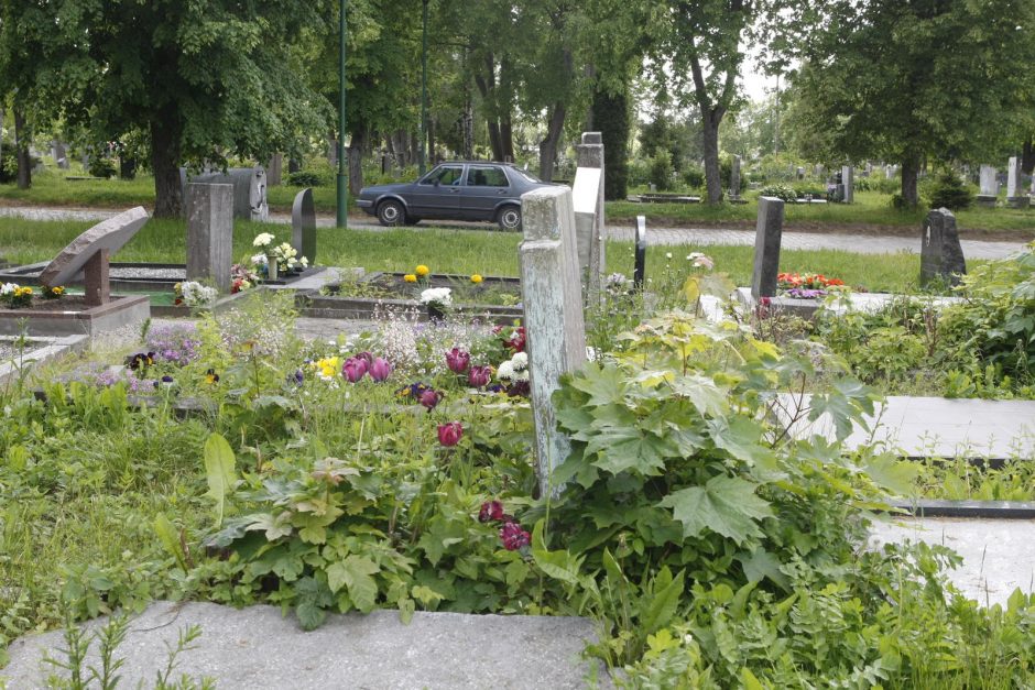 2 minutės vadovas skausmas desineje krutines puseje