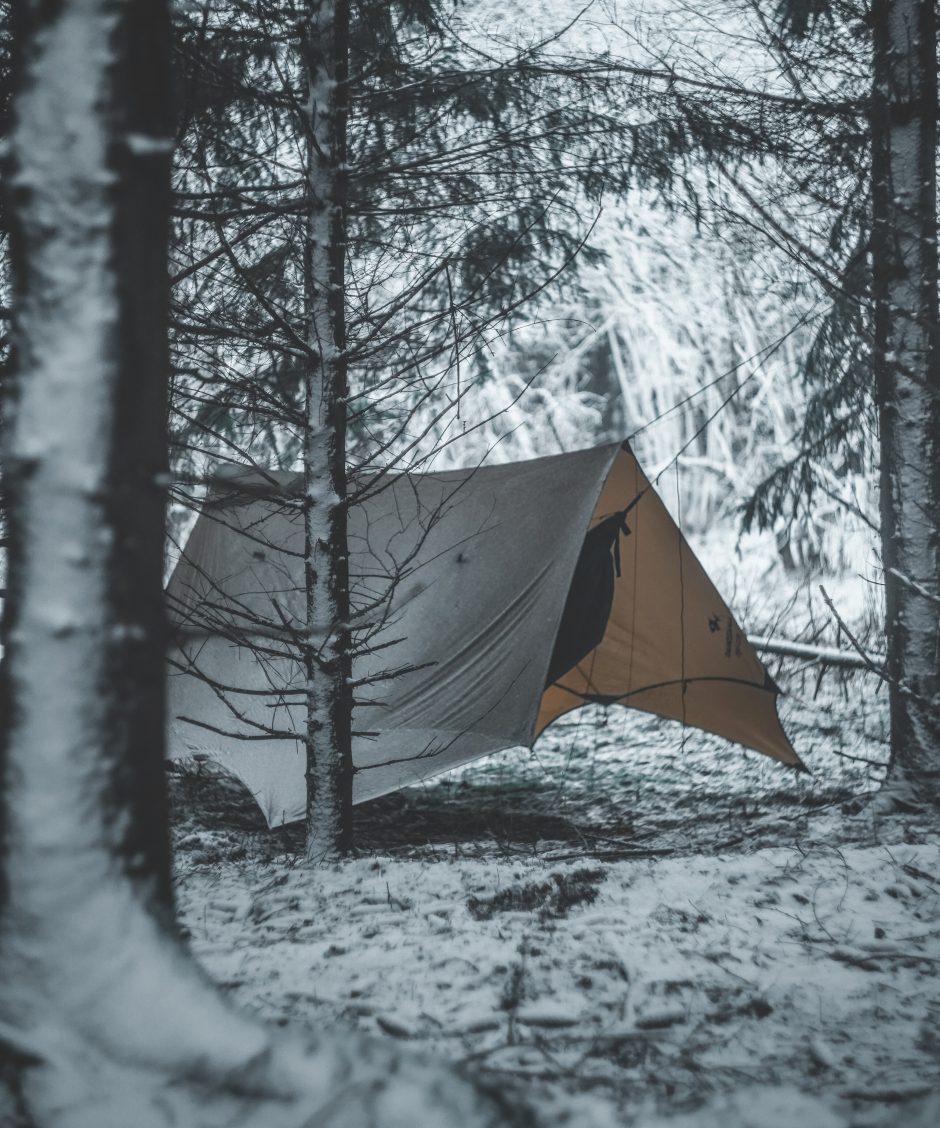 Aktyvus žemaitis išgyvenimo pamokų semiasi miške