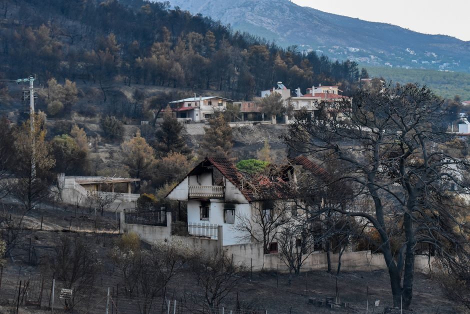 Premjeras: Graikijoje šią vasarą kilę gaisrai išdegins mažiausiai 150 tūkst. hektarų plotą