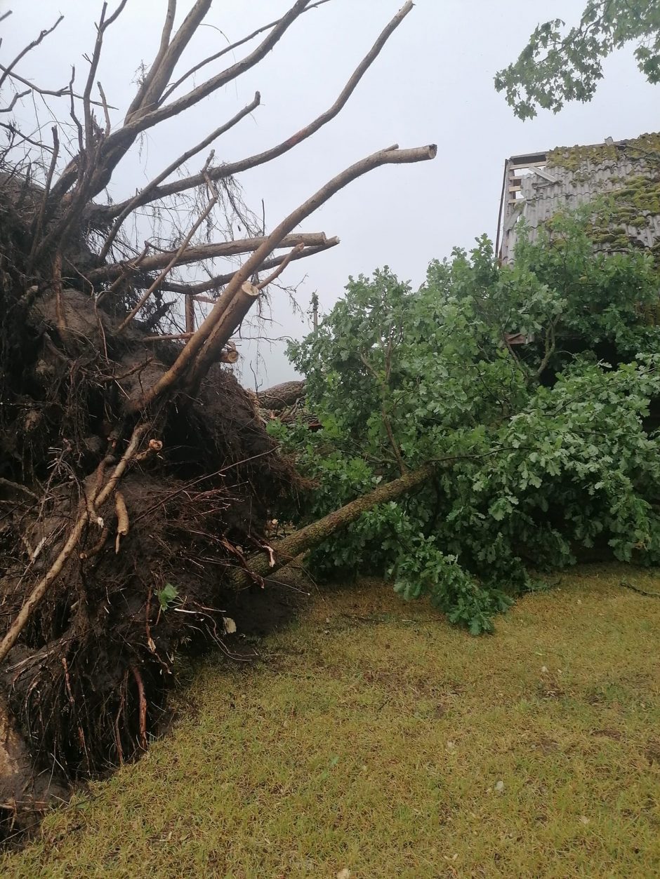 Siaubinga nelaimė Panevėžio rajone: per audrą lūžę medžiai sugriovė namus