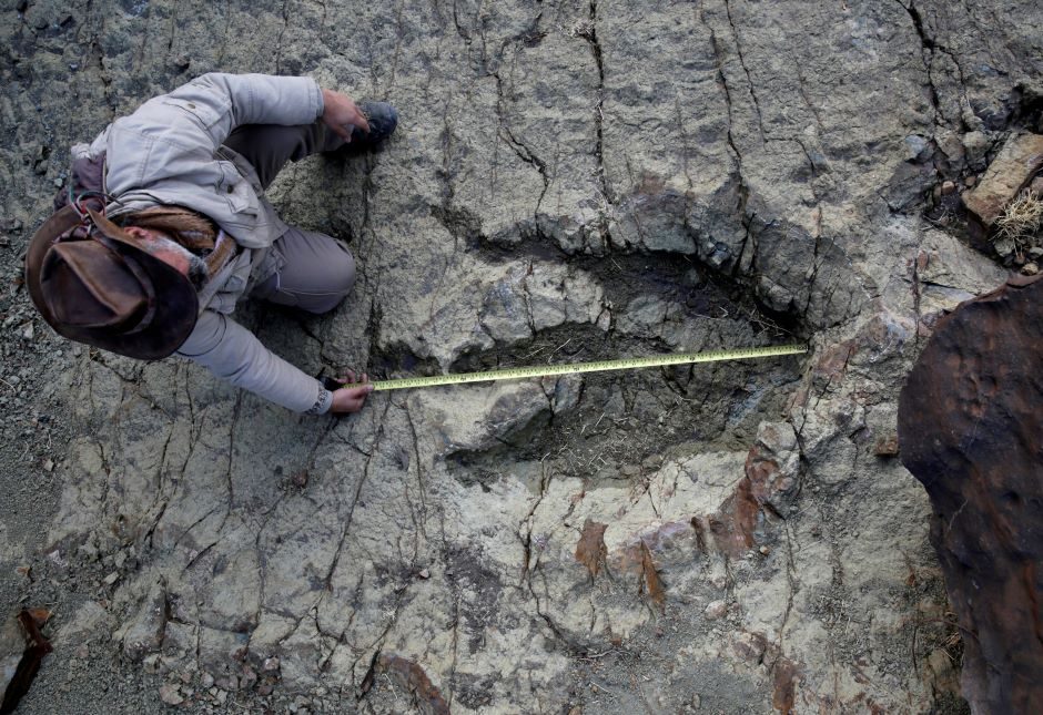 Dinozaurai paliko įrodymų, kaip Žemė atrodė prieš 120 mln. metų