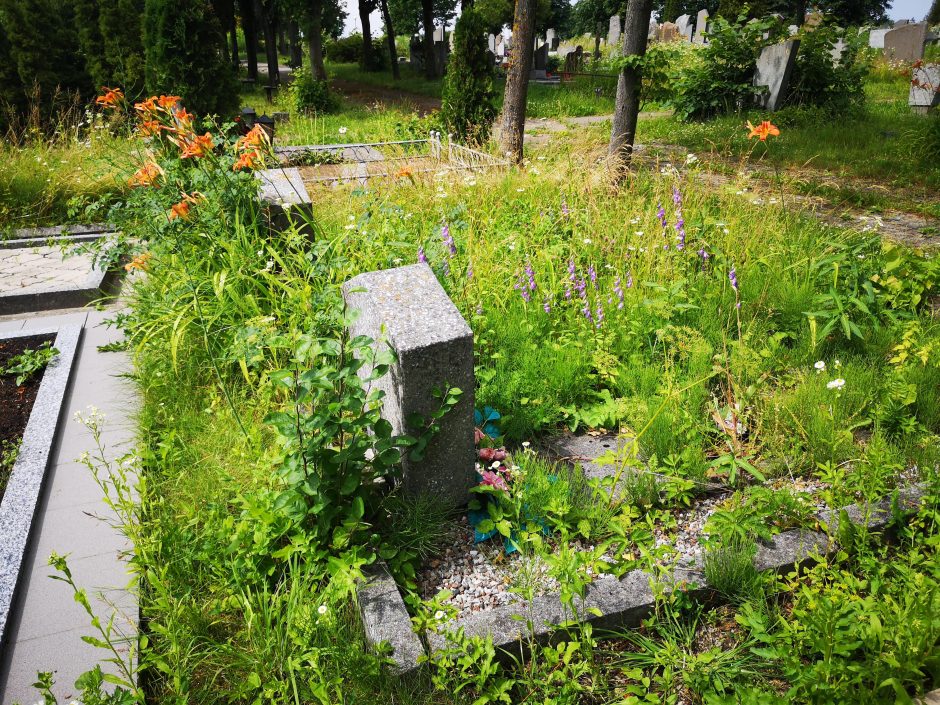 Klaipėdiečius sutvarkyti kapus verčia viešumas: sąrašas skelbiamas internete