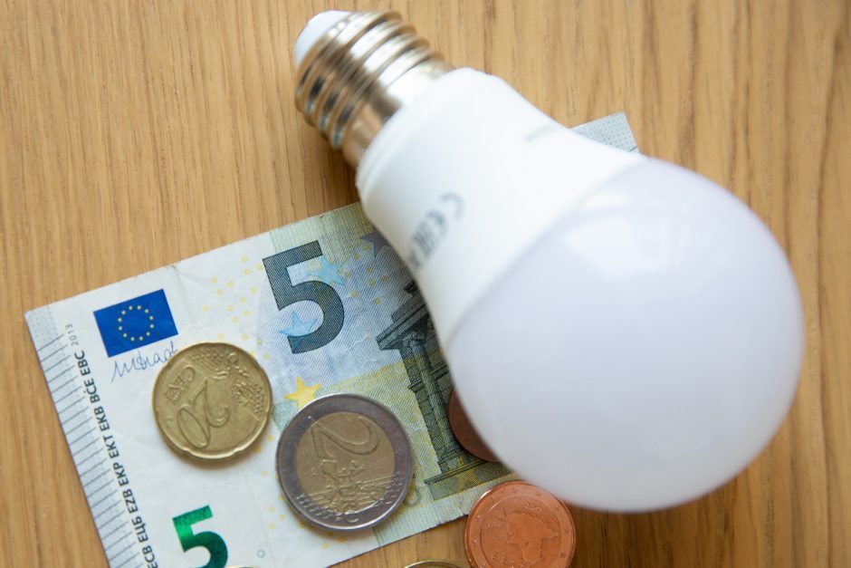 R. Pocius siūlytų kompensacijas mokėti už pirmas 100–150 elektros kWh