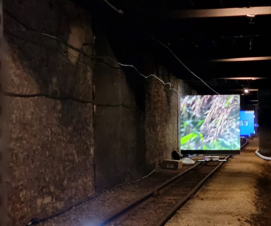Meno arterija ištryškusi Kaune nupulsavo iki Liuksemburgo