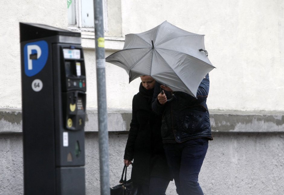 Lietuviška vasara: kada baigsis ištisinis lietus?