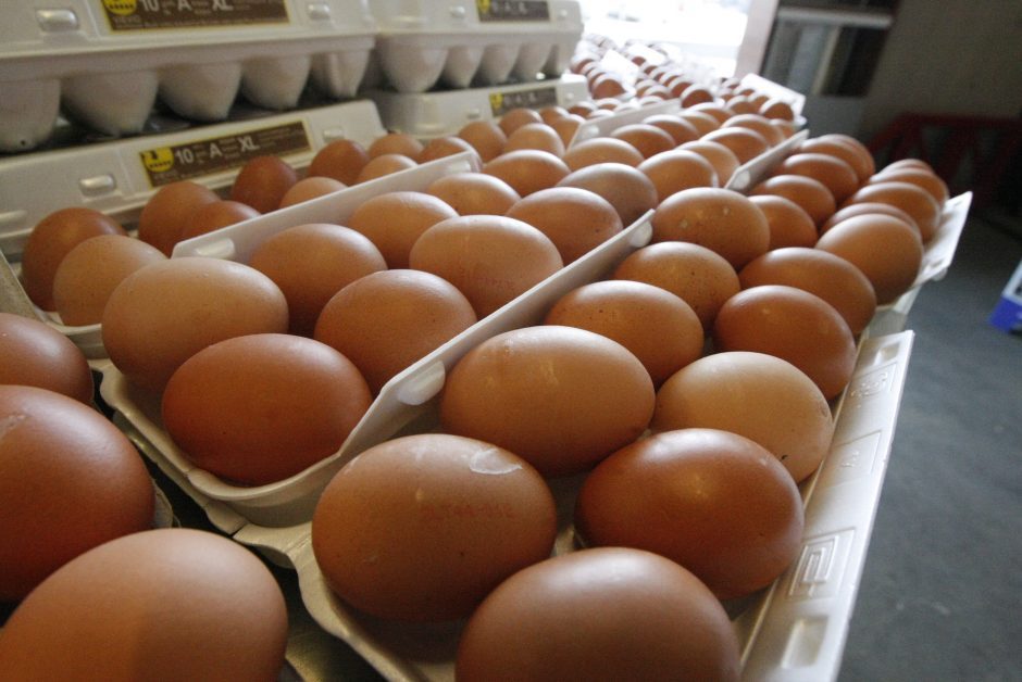 Lietuviškus kiaušinių produktus leista eksportuoti į PAR